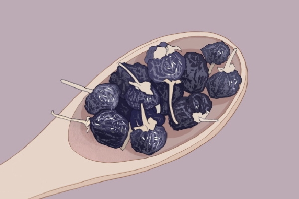 黑枸杞对肾脏有好处吗