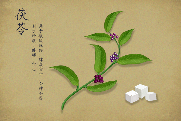 冬季健康养生三大定律