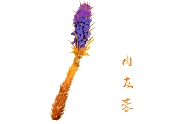 冬天喝什么汤润肠通便